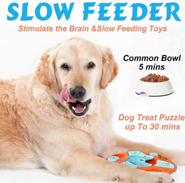 Unlock Your Dog’s Genius with Fun, Brain-Boosting Puzzle Toys - Image 5